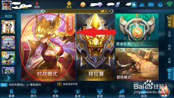 王者宝典最新爆料,揭秘神秘英雄与战术革新